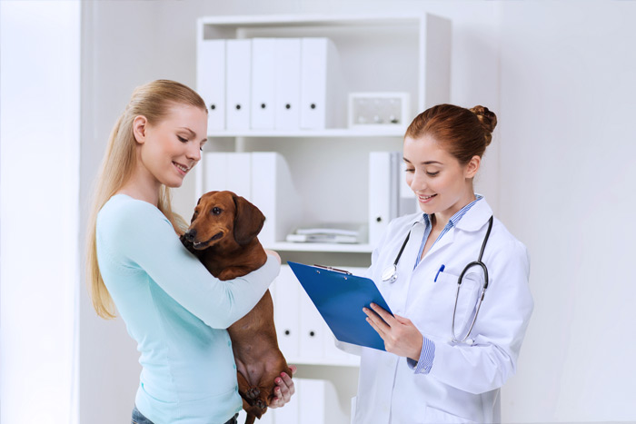 ЭЦП для оформления ветеринарных сертификатов (ГИС Меркурий) в Гатчине